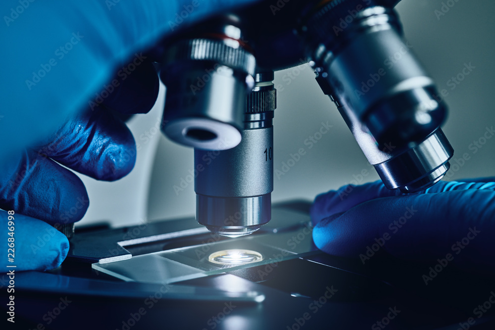 Wall mural scientist hands with sample slide on microscope close-up shot in the laboratory