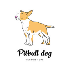 Vector editable sketch of a cute pit bull puppy dog. Isolated on a white background.