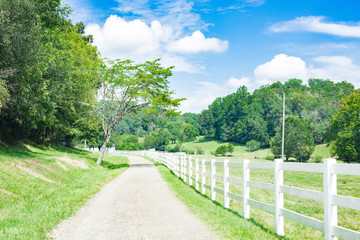 Fototapeta na wymiar Summer Landscape Farm Property