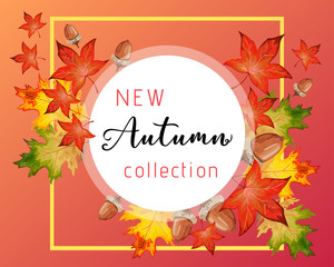 New collection circular banner for Autumn with fall leaves.