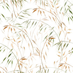 Delicate watercolor oats botanical seamless pattern on white background for textile, packaging and wallpaper designs - 226850990