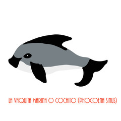 Naklejka premium vaquita marina blue whale sealife vector illustration