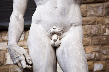 Fototapeta na wymiar Part of replica of David statue at Palazzo Vecchio in Florence, Italy.