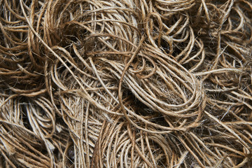 Tangled string. Selective focus