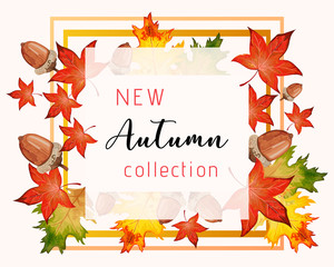 New collection banner for Autumn with fall leaves.