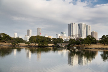 Fototapeta na wymiar landscape concept - view of hamarikyu gardens public park in tokyo city, japan