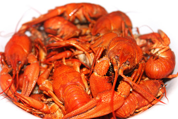 Boiled crayfish on a white background
