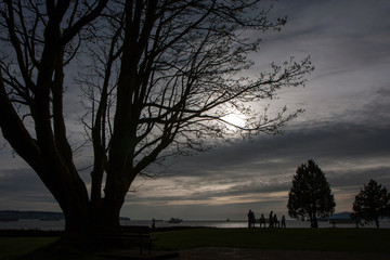 Vancouver sunset in a park