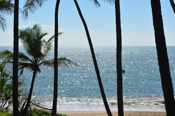 Goa, sunset, beach, sky, sunny, happy, sun, sand