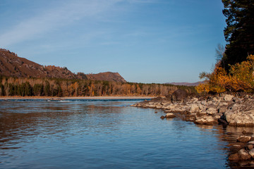 Autumn river bank with orange beech leaves. Fresh green leaves on branches above water make reflection. Rainy evening at stream.