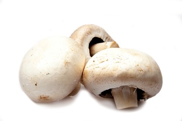 Three Champignons Mushrooms