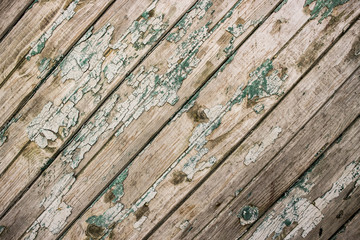 Cracked green paint surface. Rough old wood wall.
