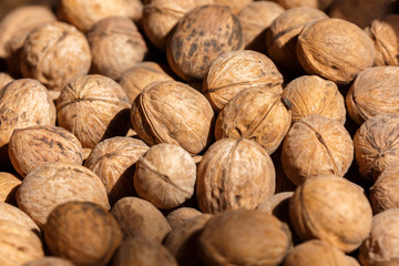Close up of walnuts (Kashgar, Xinjiang)