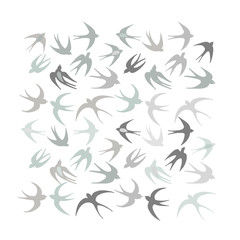 Swallows, background for your design