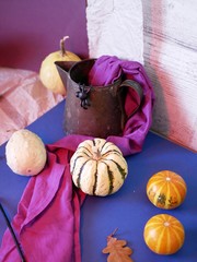 Seasonal decorative still life of pumpkins, purple fabric, black plasticine spider, preparation for Halloween, home furnishings