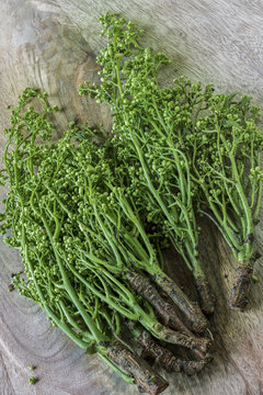 Margosabl&uuml;ten (Bl&uuml;ten vom Niembaum - Azadirachta indica). Verwendung in der  Alternativmedizin