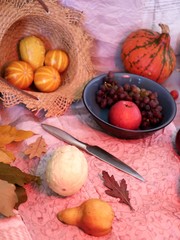 Preparation of pumpkin, fruit and chocolate dessert for a festive seasonal dinner, decorative still life, top view