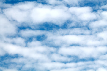 Abstract background with blue sky and small white clouds. Mackerel sky with altocumulus cloud - obrazy, fototapety, plakaty