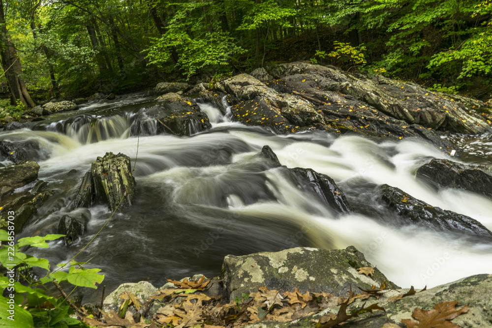 Wall mural serene stream