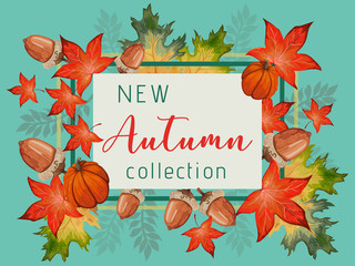 New collection banner for Autumn with fall leaves and pumpkin.