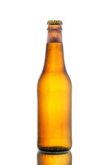 Single delicious beer bottle isolated on white background with reflection