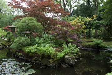 Naklejka premium strumień w lesie