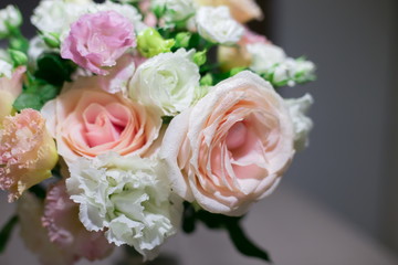 Flowers, white and pink roses, close up