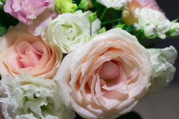 Flowers, white and pink roses, close up