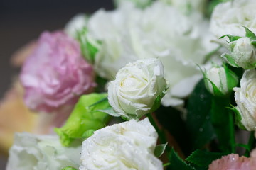 Obraz na płótnie Canvas Flowers, white and pink roses, close up