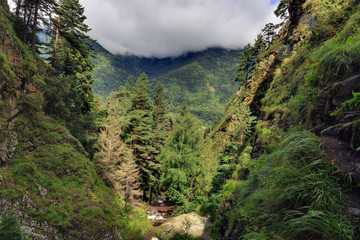 Mountain river with a rapid flow in the forest in the region of the Caucasus Mountains.