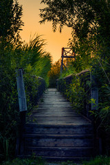 Wooden bridge leading to an watchover observatory used to observe birds