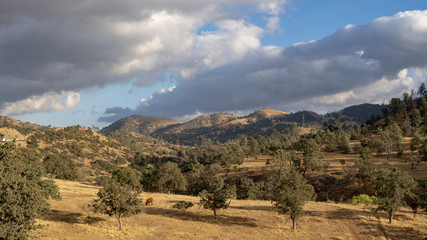 Mountain view of Tehachapi California