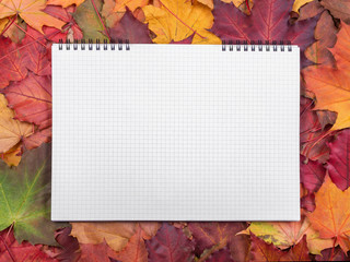 Naklejka na ściany i meble Blank opened notebook in a cage on bright colorful autumn maple leaves frame background