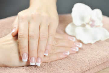 Fototapeta premium French manicure. In the frame, two women's hands rest on a towel. Near the white orchid flower. Close-up. Macro shooting.