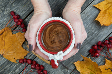 Female hands holding cup of autumn coffee. Wool cloth mug
