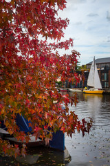 Obraz premium Beautiful autumn, red treetop and yellow sailboat in the background
