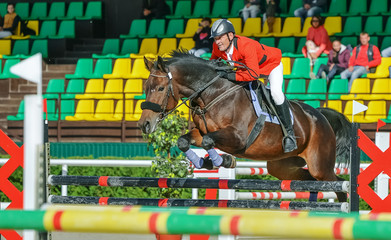 Bay horse and rider in uniform performing jump at show jumping competition. Equestrian sport background. 