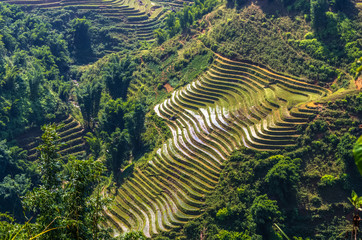 Amazing view on rice terrace in Sapa village, Vietnam