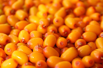 Fresh yellow sea buckthorn. Close-up. Background. Texture.