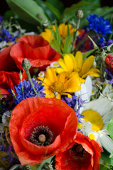 luxuriant summer bouquet of wildflowers with poppies, daisies, cornflowers closeup.