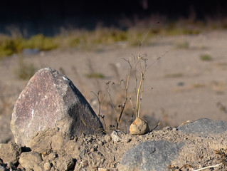 Desertificación de Areas Agrícolas - Cuenca del Rio Chili
