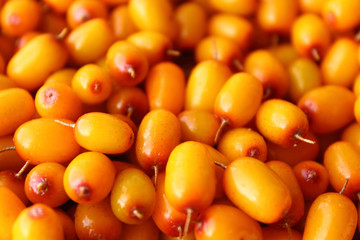 Fresh yellow sea buckthorn. Close-up. Background. Texture.