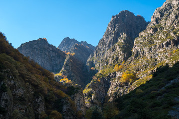 Fototapeta premium Colorful autumn landscape in the Caucasus mountains, colorful forest in Kazbegi, Georgia