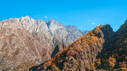 Colorful autumn landscape in the Caucasus mountains, colorful forest in Kazbegi, Georgia