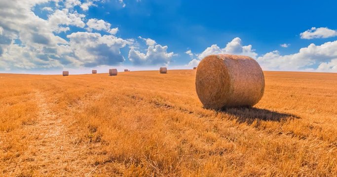 hay bales landscape of yellow grass fields under blue sky with white clouds, agriculture and nature and relax, climate change concept, timelapse movement effect
