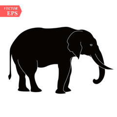 Vector image of an elephant design on white background, Vector elephant Icon for your design.