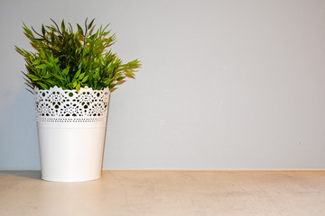 Minimalism interior - green leaves in a white bucket against the background of a light wall.