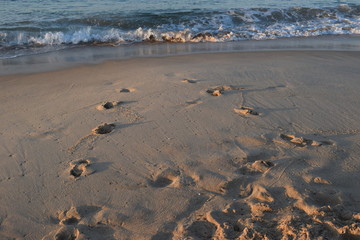 Amanecer en la playa