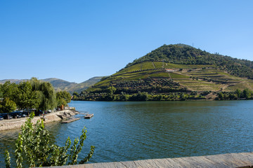 Obraz premium Douro River Pinhao