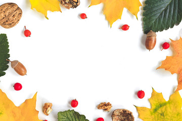 autumn composition on white background